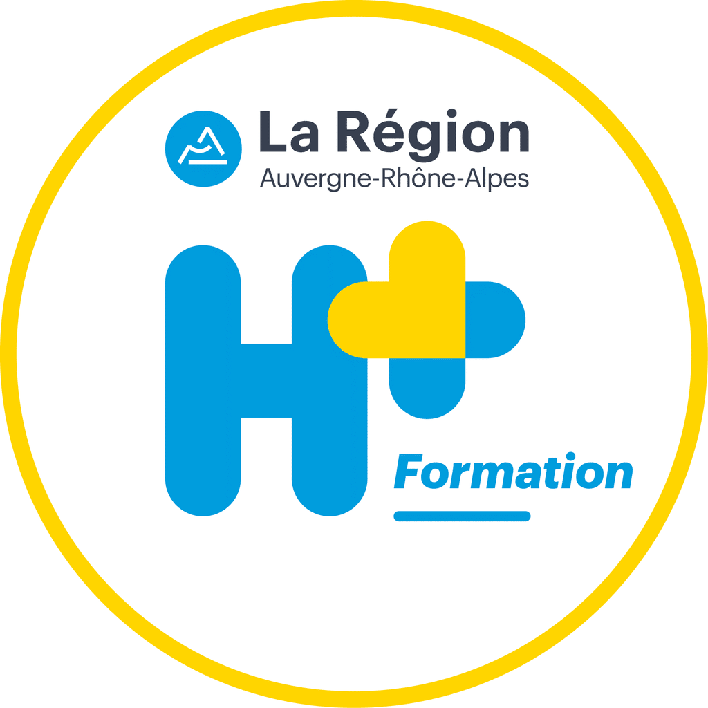 Logo Handicap H+ formation VF